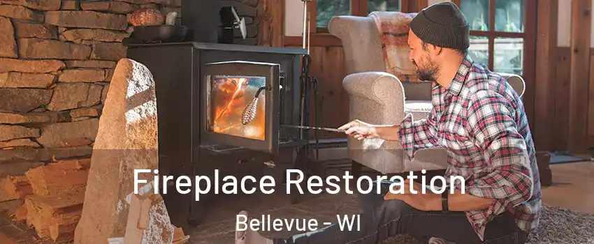  Fireplace Restoration Bellevue - WI