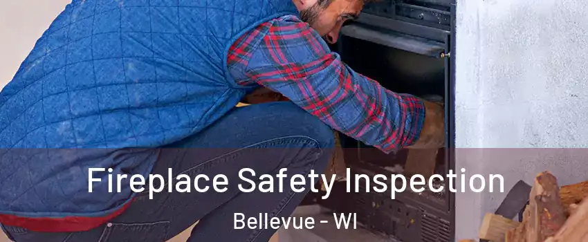  Fireplace Safety Inspection Bellevue - WI