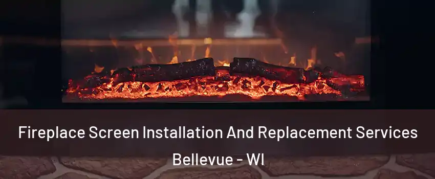  Fireplace Screen Installation And Replacement Services Bellevue - WI