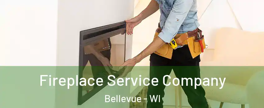  Fireplace Service Company Bellevue - WI