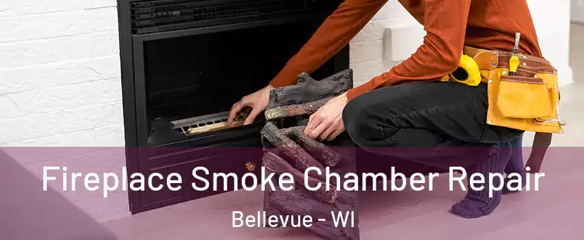  Fireplace Smoke Chamber Repair Bellevue - WI