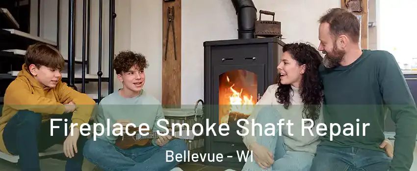  Fireplace Smoke Shaft Repair Bellevue - WI