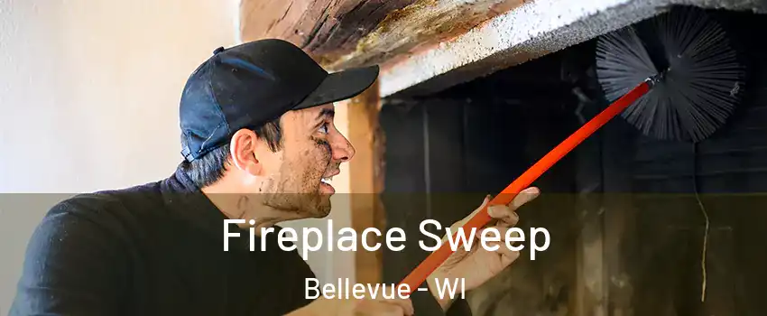  Fireplace Sweep Bellevue - WI