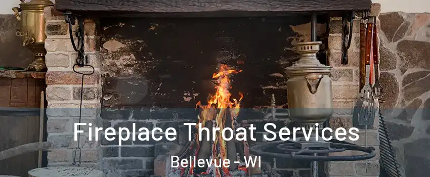  Fireplace Throat Services Bellevue - WI
