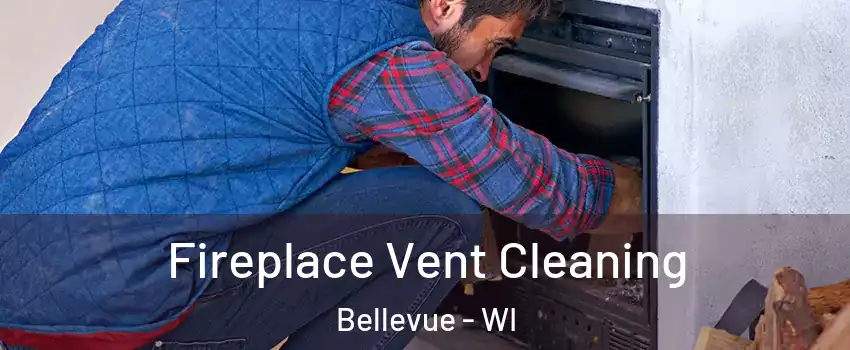 Fireplace Vent Cleaning Bellevue - WI