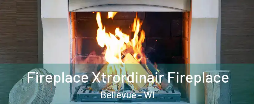  Fireplace Xtrordinair Fireplace Bellevue - WI