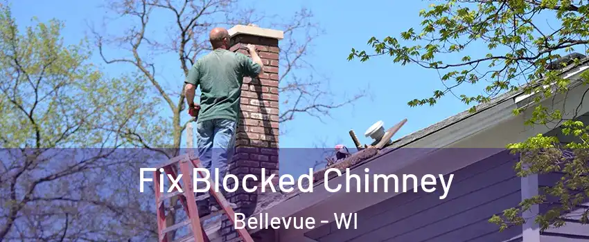  Fix Blocked Chimney Bellevue - WI