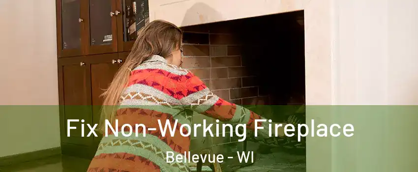  Fix Non-Working Fireplace Bellevue - WI