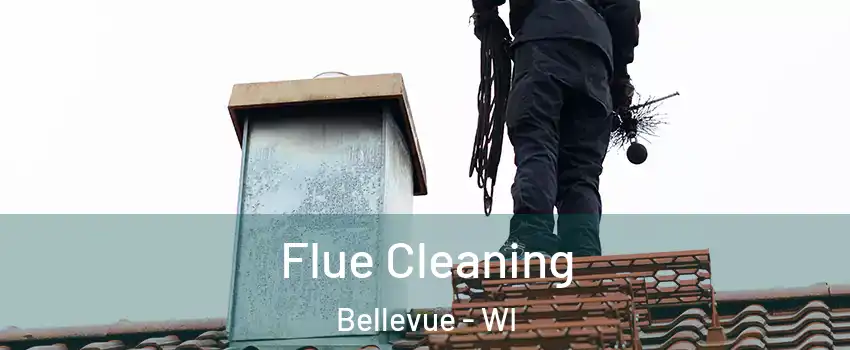  Flue Cleaning Bellevue - WI