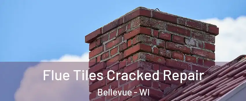  Flue Tiles Cracked Repair Bellevue - WI