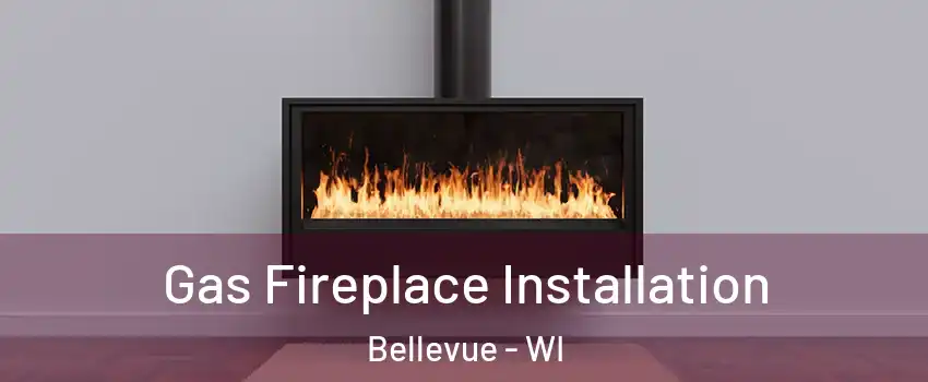  Gas Fireplace Installation Bellevue - WI