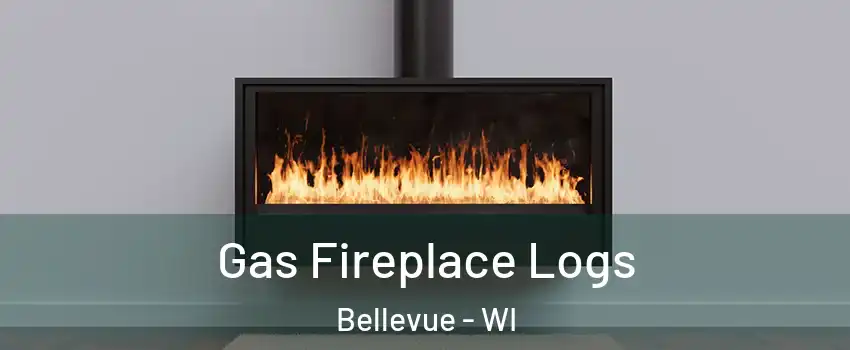  Gas Fireplace Logs Bellevue - WI