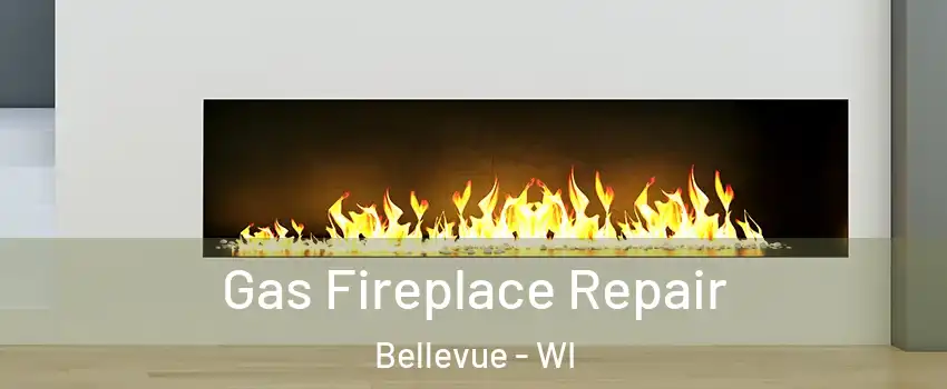  Gas Fireplace Repair Bellevue - WI