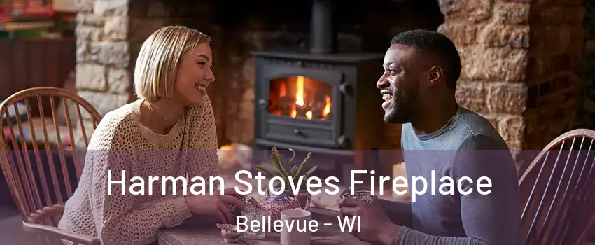  Harman Stoves Fireplace Bellevue - WI