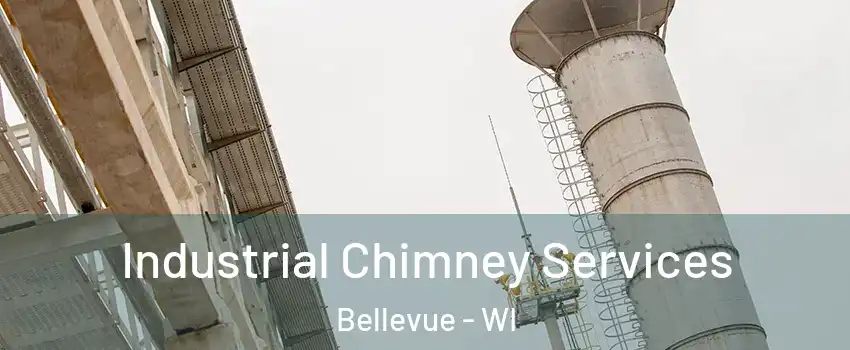  Industrial Chimney Services Bellevue - WI