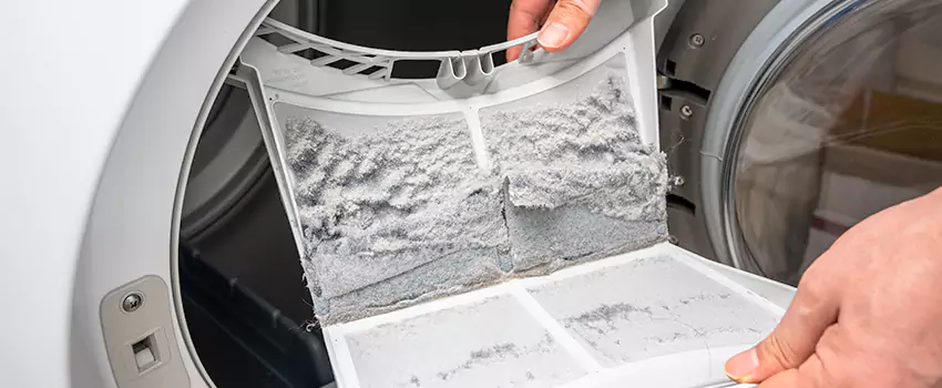 Best Dryer Lint Removal Company in Bellevue, Wisconsin