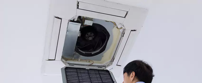 Benefits of Professional Air Duct Cleaning in Bellevue, Wisconsin