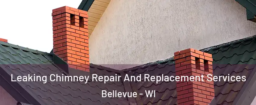  Leaking Chimney Repair And Replacement Services Bellevue - WI