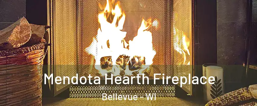  Mendota Hearth Fireplace Bellevue - WI