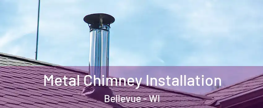  Metal Chimney Installation Bellevue - WI