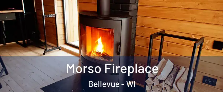  Morso Fireplace Bellevue - WI
