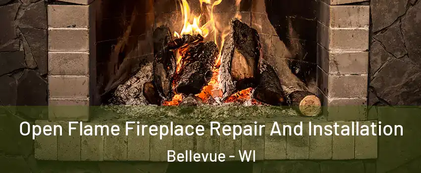  Open Flame Fireplace Repair And Installation Bellevue - WI