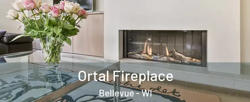  Ortal Fireplace Bellevue - WI