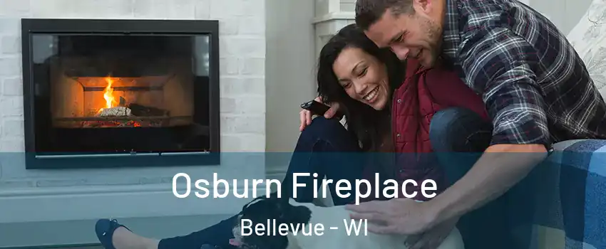  Osburn Fireplace Bellevue - WI