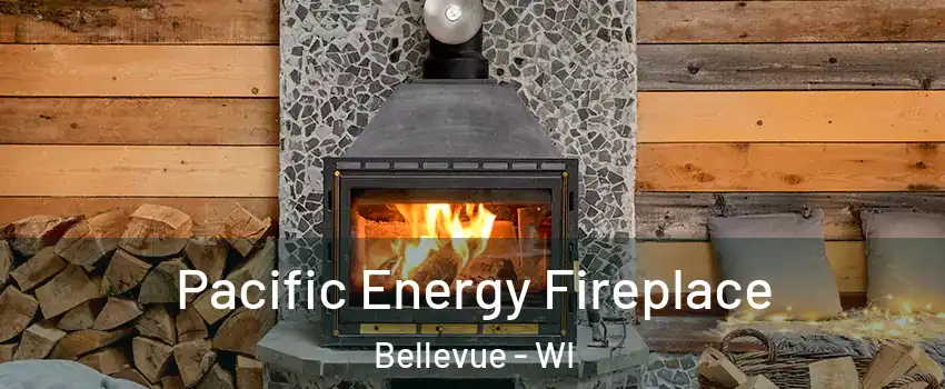  Pacific Energy Fireplace Bellevue - WI
