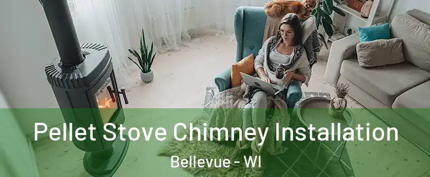  Pellet Stove Chimney Installation Bellevue - WI