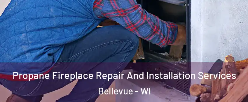  Propane Fireplace Repair And Installation Services Bellevue - WI