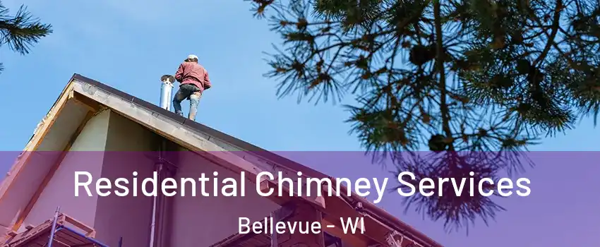  Residential Chimney Services Bellevue - WI