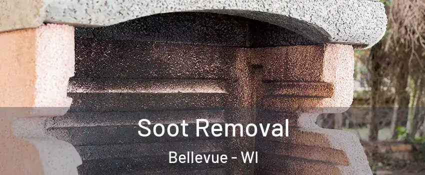  Soot Removal Bellevue - WI