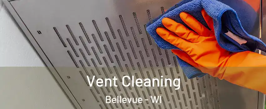  Vent Cleaning Bellevue - WI