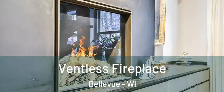  Ventless Fireplace Bellevue - WI