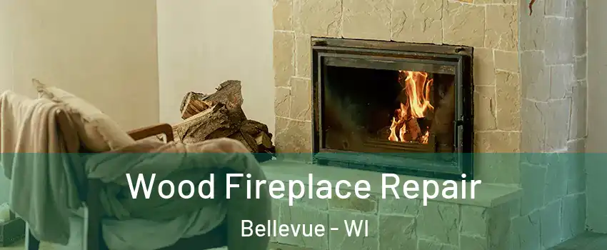  Wood Fireplace Repair Bellevue - WI