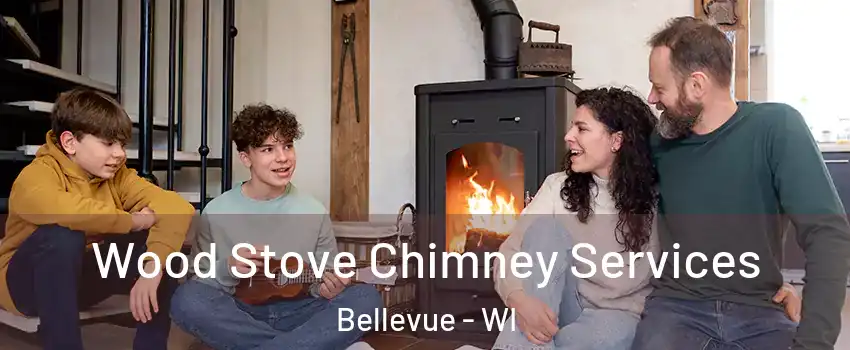  Wood Stove Chimney Services Bellevue - WI