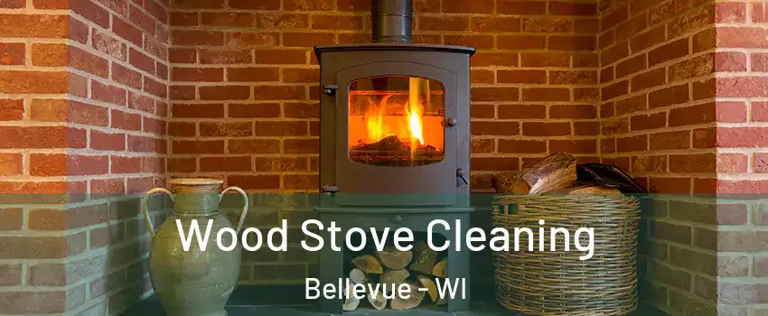  Wood Stove Cleaning Bellevue - WI