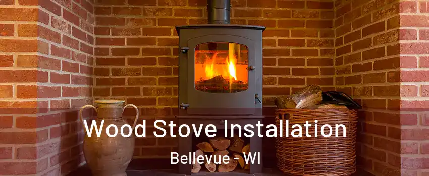  Wood Stove Installation Bellevue - WI