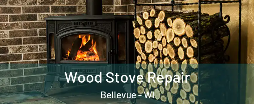  Wood Stove Repair Bellevue - WI
